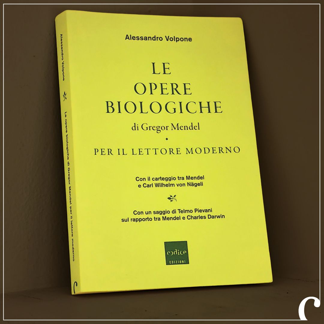 Gregor Johann Mendel
20 luglio 1822 – 6 gennaio 1884
.
.
#CodiceEdizioni #GregorMendel #AlessandroVolpone
