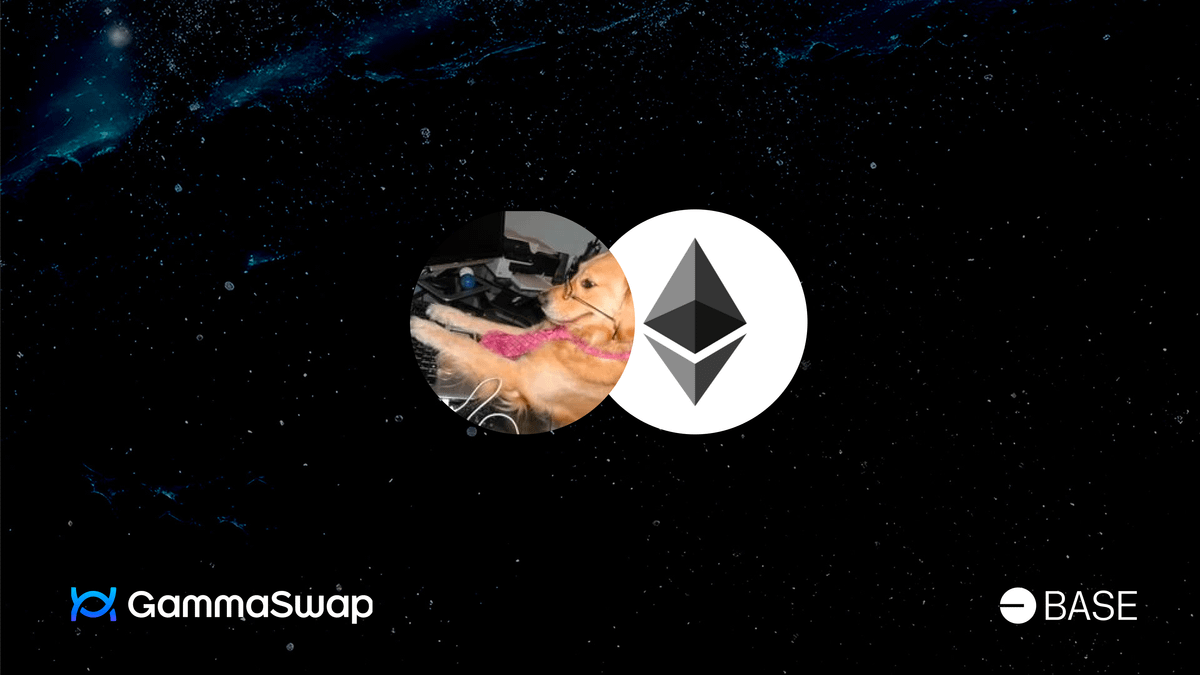 A new market for BAILEY/WETH has been launched on <a href="/base/">Base</a>

Join Bailey the “I have no idea what I’m doing dog” in her mission to take over base by adding liquidity or opening a perpetual option strategy on GammaSwap today!