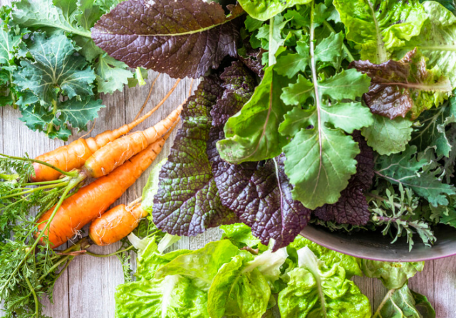 PerrineAgency's tweet photo. How to Start a Vegetable Garden in a Small Space https://t.co/CFZhZOS48W https://t.co/lABwnzLAlS