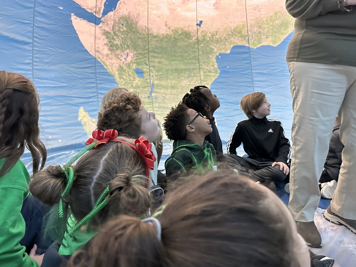 Meredith Rose tweet media