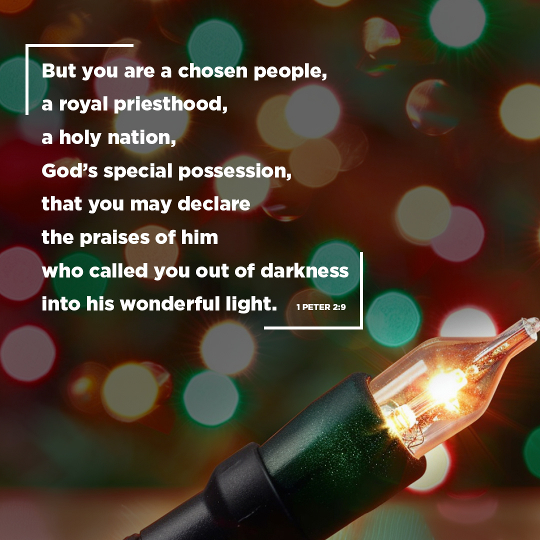 Vantage Pro AV tweet media