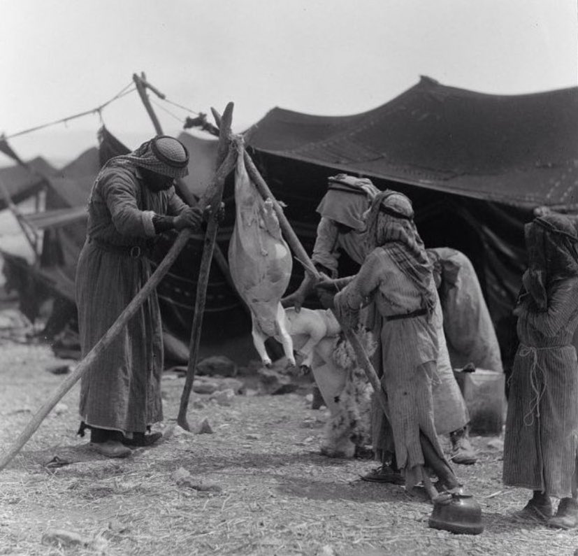 ما اسرني مشية الخود بتباهي
لا ولا يلفت عيوني غير طيّب

يتباشر جيّته " راع الشياهي "
مايسلّم والعهد منّه قريّب