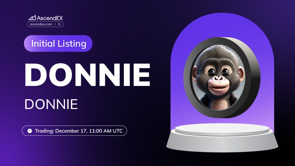 DONNIES_AI's tweet photo. @RandomCryptoPal Are you ready for $DONNIE
Looks like $DONNIE is about to swing into the CEX like a monkey on a banana craze ๏ฟผ๏ฟผ! Timing is everything โ donโt slip up. ๏ฟผ #CryptoJungle #CEXBound" https://t.co/sK3ylcuSvg