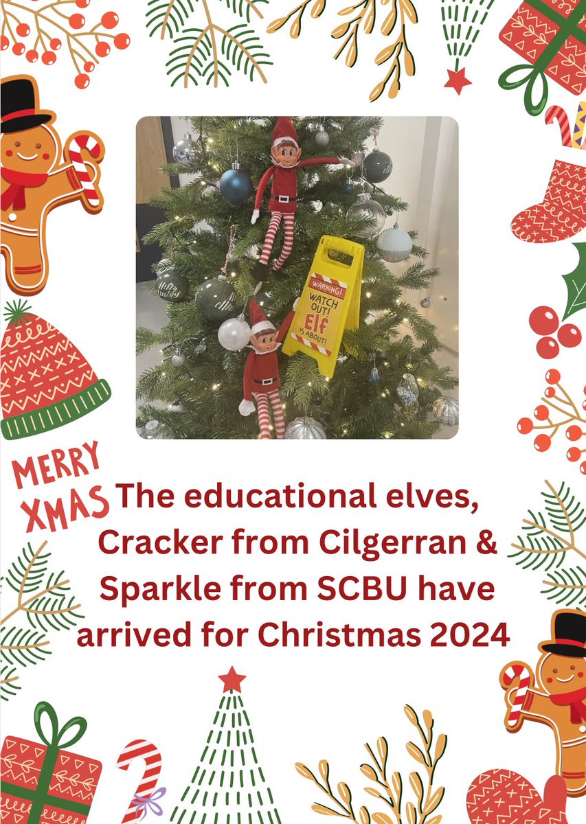 Sparkle &amp; Cracker are back for another year! <a href="/Jenna_Ingle/">Jenna</a> #PPDN 🎄✨ #paedsnursing #SCBU #neonataleducation