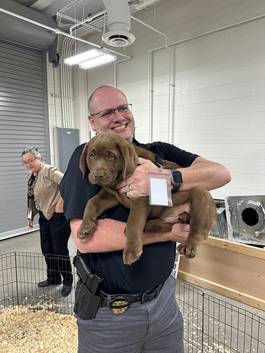 mark_goggins's tweet photo. Finals week kickoff at Denton High: a puppy puddle just staff! 🐶💖 The perfect way to relax, recharge, and spread some paws-itive vibes before the week ahead. #TeacherWellness #PuppyPuddle https://t.co/K1ERBpGLkc