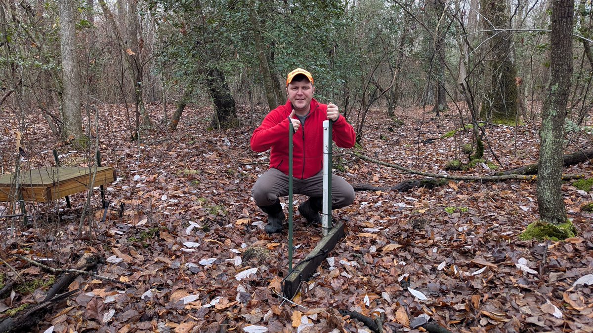 Nate Jones tweet media