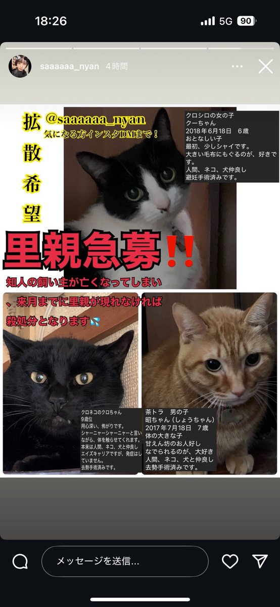 _M_H_R_K's tweet photo. #里���募集中 https://t.co/dU2JaQunWU