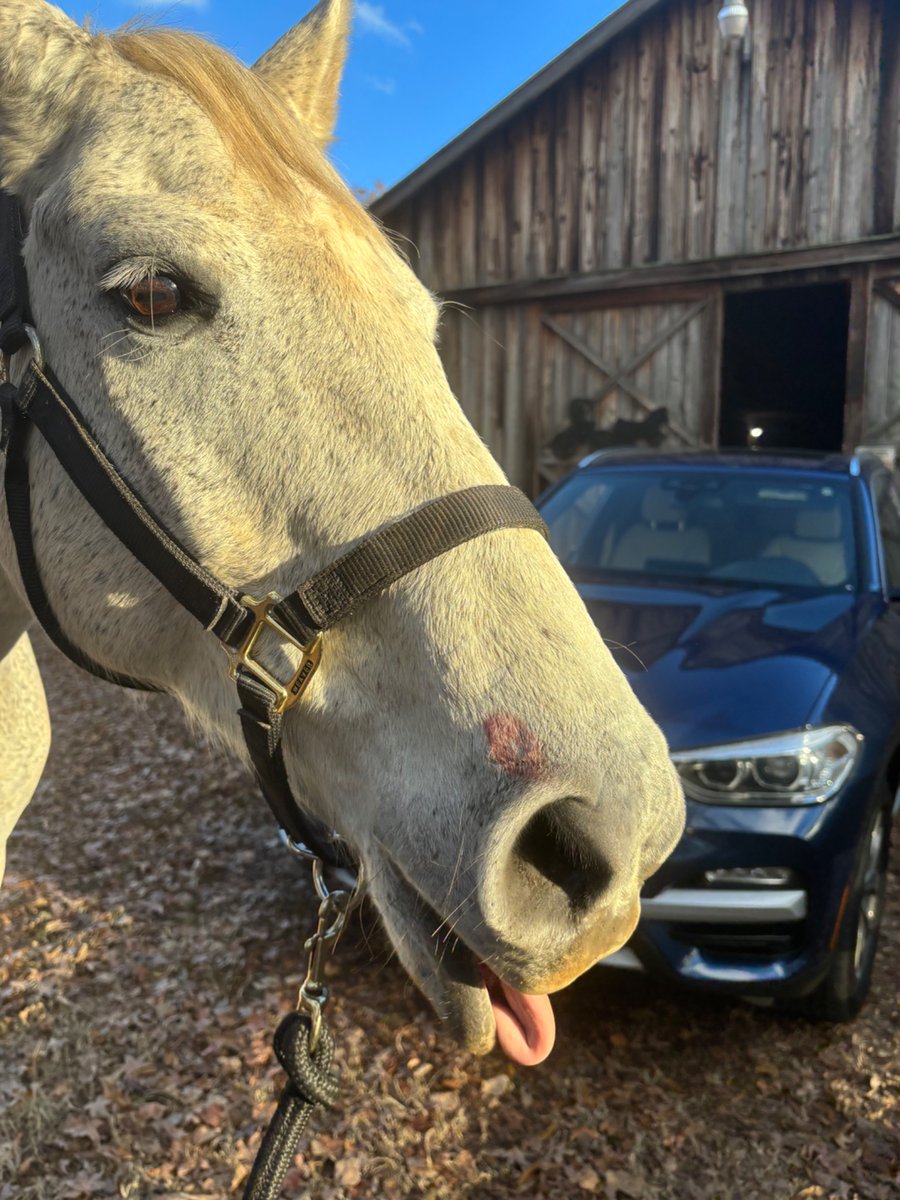 Aviatrix tweet media