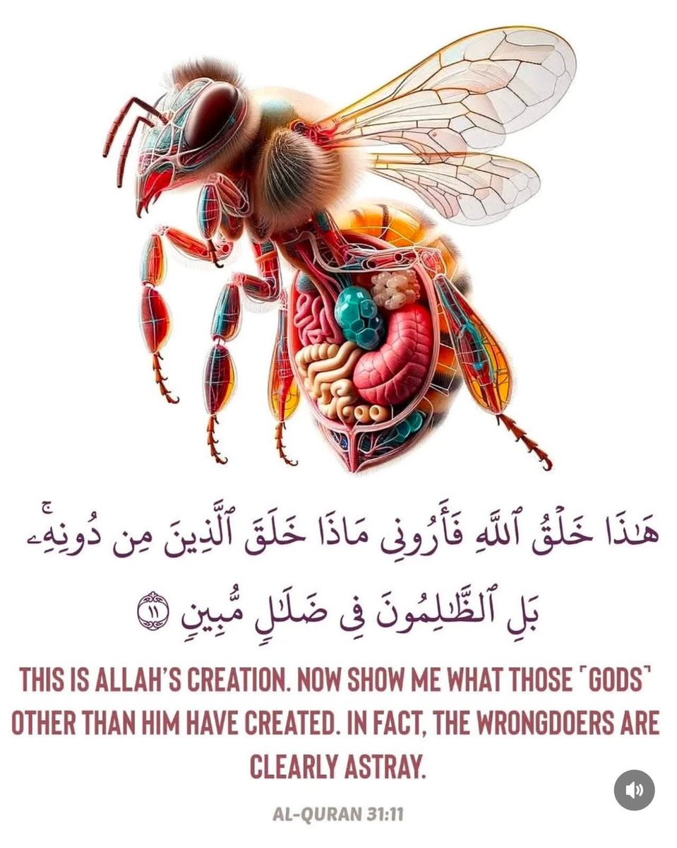 AliAlmoosavi's tweet photo. All praise to the lord of the worlds ,the sustainer ,the creator the most gracious and merciful 🌹@AlQuran_Eng https://t.co/OVim93G4Va