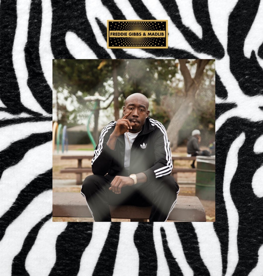 SHREK KNOWS RAP tweet media