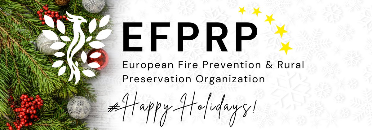 efprp_off's tweet photo. Dear  Community,

As the year draws to a close, I wanted to take a moment to express my sincere gratitude to my team for their hard work and dedication. 

Their contributions have been invaluable to our success.

Every task done, every post on our social media, every new member and every single donation we've received is been thanks to their  hard work - take a second to congratulate them!

I hope you have a wonderful holiday season, filled with joy, peace, and relaxation. 

May the new year bring you happiness, health, and prosperity.

With warmest wishes,

ELIZALDE XIROKOSTA Alexios,
Executive Director | EFPRP