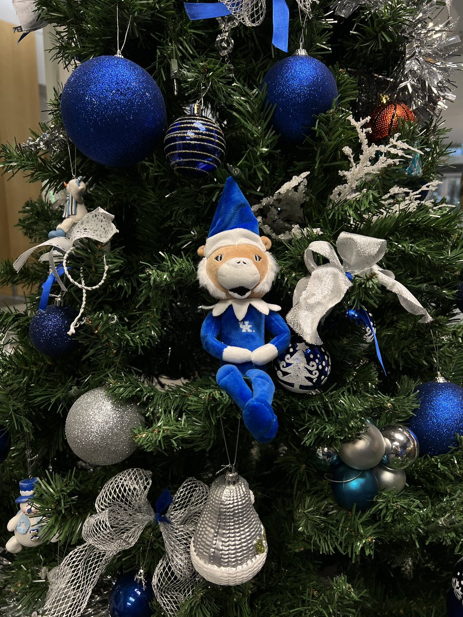 UKAthletics's tweet photo. Wildcat on a Shelf wants to come home with YOU this holiday season! 😸🫵🎄

All you have to do is
🎄 be a member of @JrWildcatClub 
🎄 go to @KentuckyWBB holiday game on 12/20 

(P.S. today is the LAST DAY to sign up for the JWC holiday party 👀) 

https://t.co/PRoP6ReZIr https://t.co/Nctzbxj8Eb