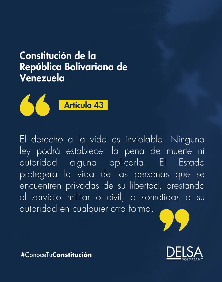 Delsa Solorzano tweet media