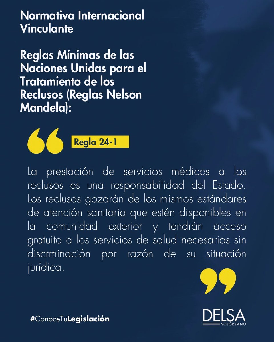 Delsa Solorzano tweet media