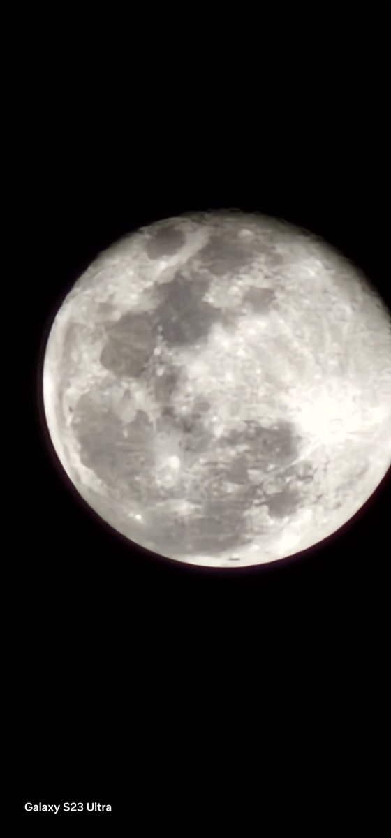 سلطان tweet media