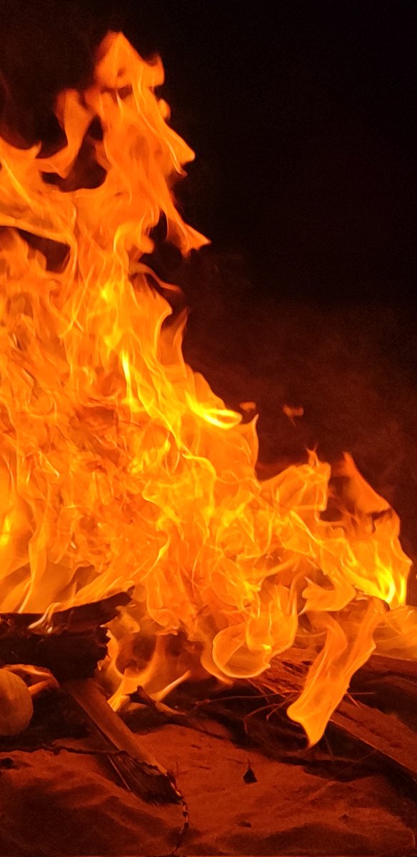 سلطان tweet media