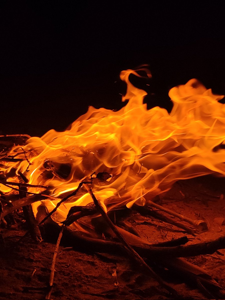 سلطان tweet media