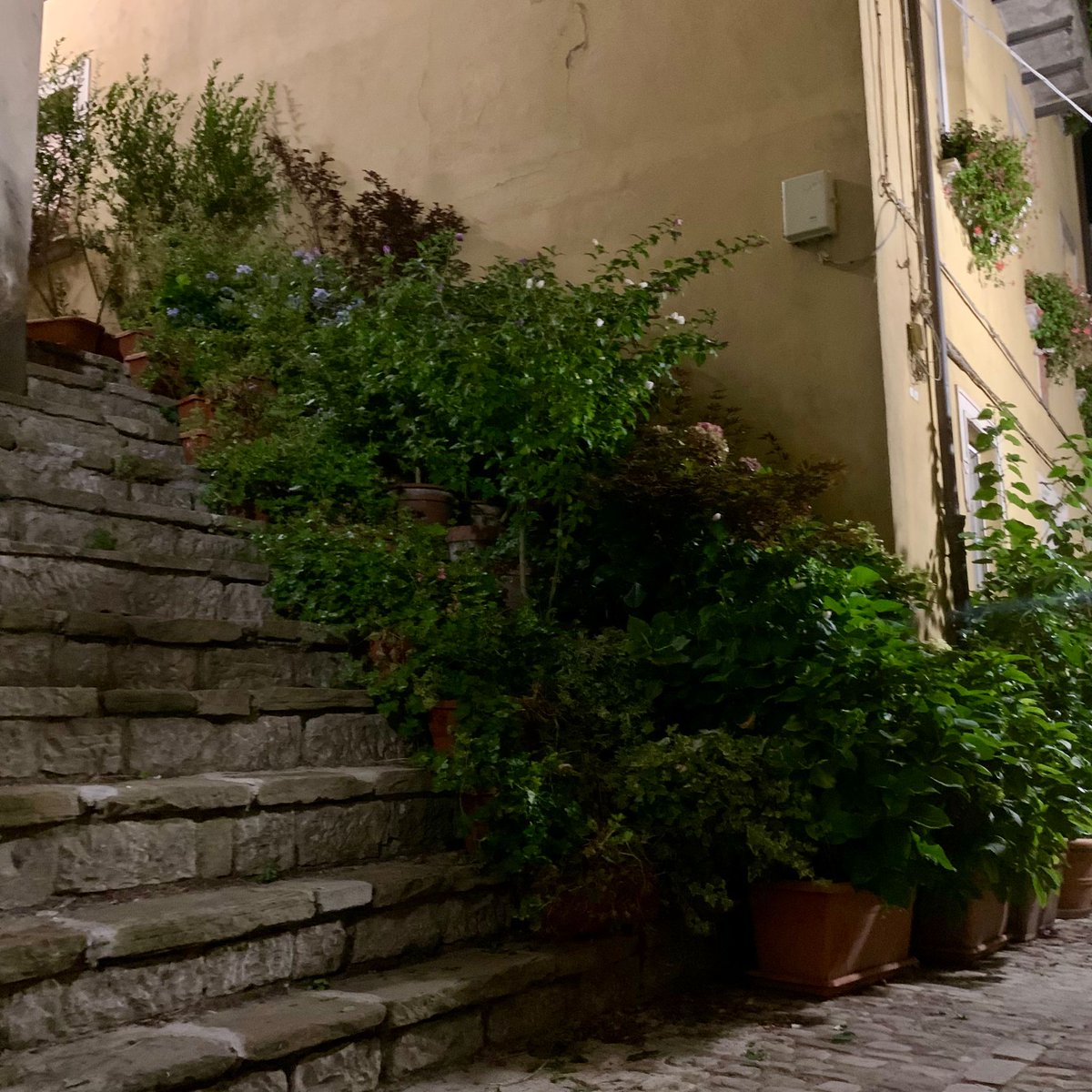 AscendingAlter's tweet photo. Beccatevi queste 2 fotine di un antico borgo in centro Italia che visiterò probabilmente il prossimo anno. 🤓
#urbex #urbexitaly #europeanexplorer #tombraider #relichunter #abandonedplaces #luoghiabbandonati #mistery https://t.co/hEOJbwvFbt