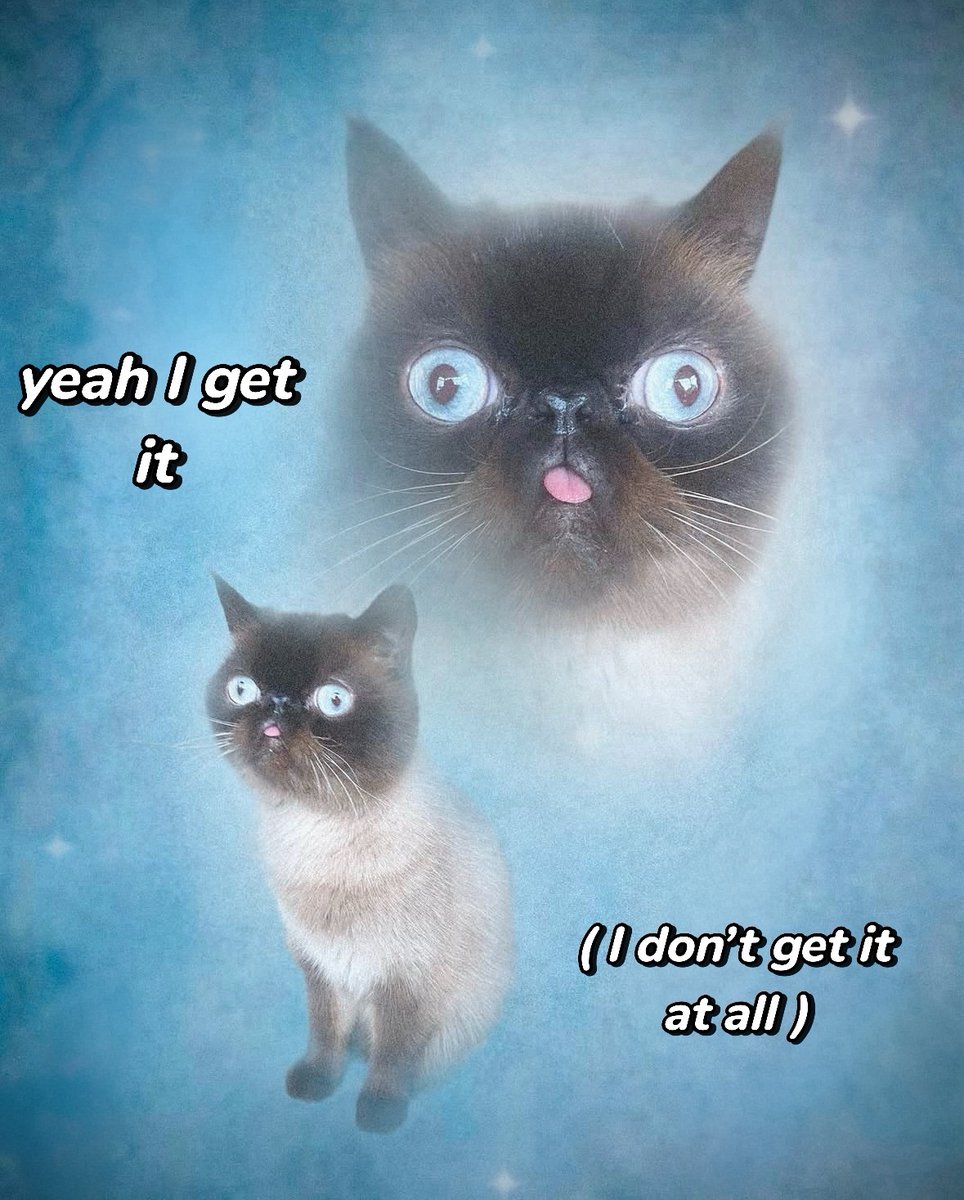 thecatesthetic's tweet photo. https://t.co/YSbznb16YI