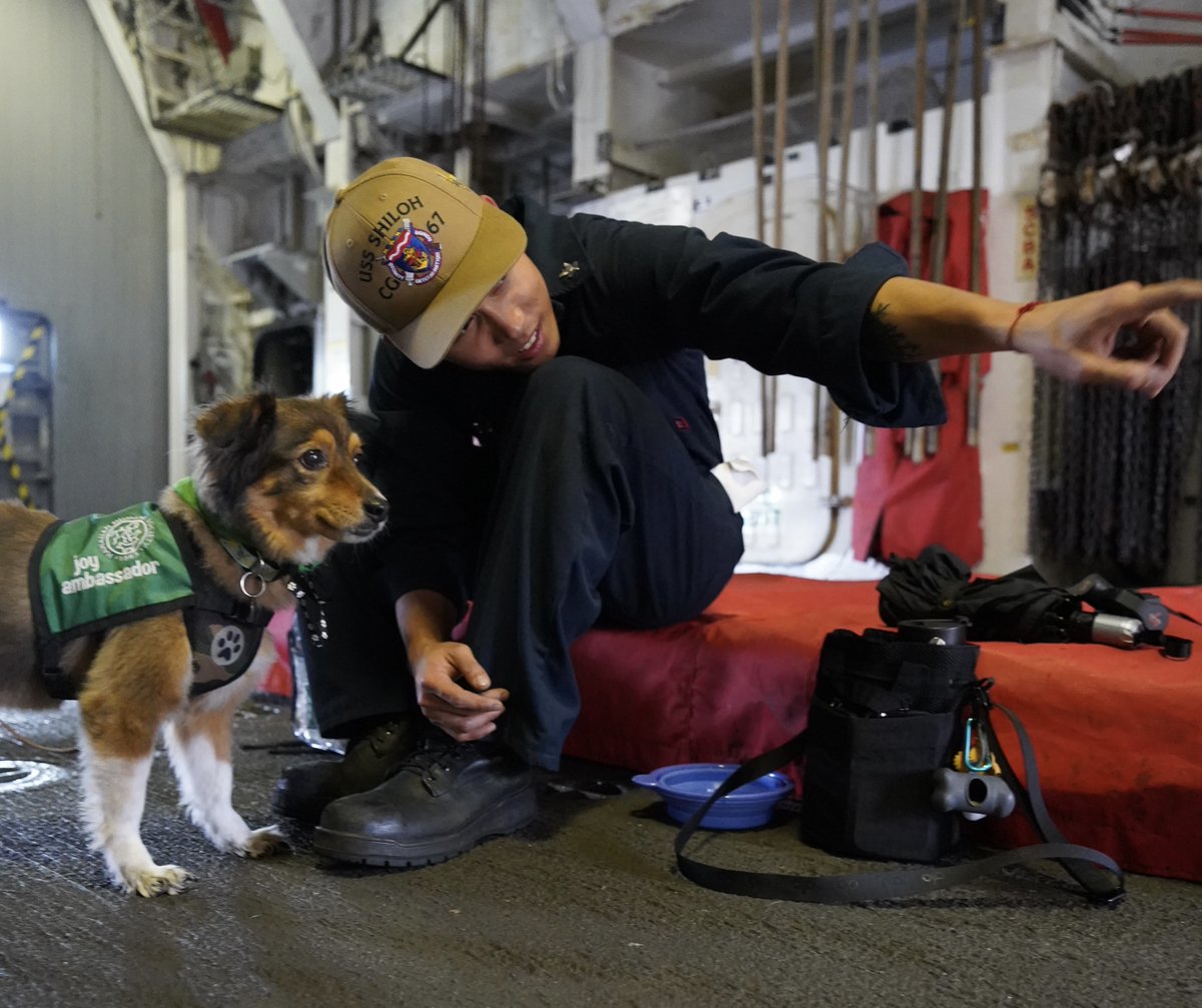 USNavy's tweet photo. #USNavyPhotosoftheDay:
1️⃣ #VFA97 #FLTOPS aboard #USSCarlVinson @CVN70 in Philippine Sea
2️⃣ QM2 Garcia logs weather aboard #USSCole in Med
3️⃣ #USSTheSullivans #FLTOPS w/ #HSM72 in @US5thFleet
4️⃣ #hawaiianhumanesociety visits #USSShiloh @JointBasePHH
👉 https://t.co/aZddB6hxYf https://t.co/5RbtZRrEEi