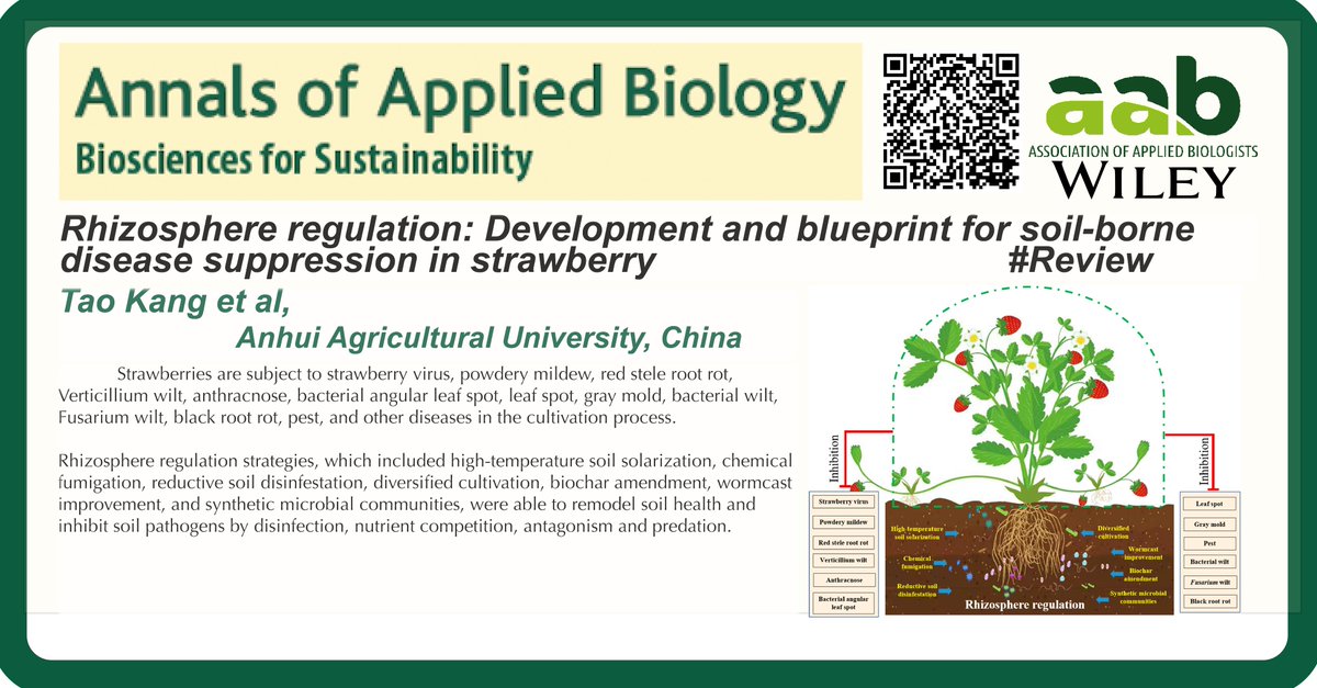 AnnalsApplBio's tweet image. Rhizosphere regulation: Development and blueprint for soil-borne disease suppression in #strawberry 🍓
@wileyplantsci @AABiologists
🕸️onlinelibrary.wiley.com/doi/full/10.11…
