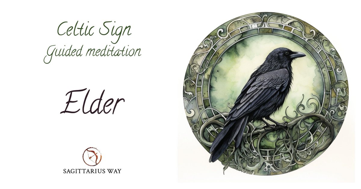 Sagittarius Way tweet media