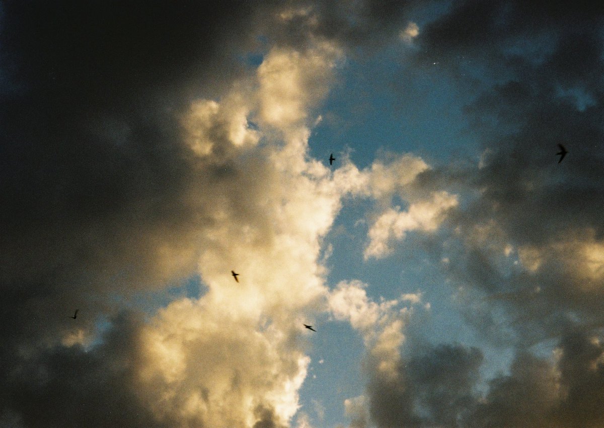 officesevenn's tweet image. 