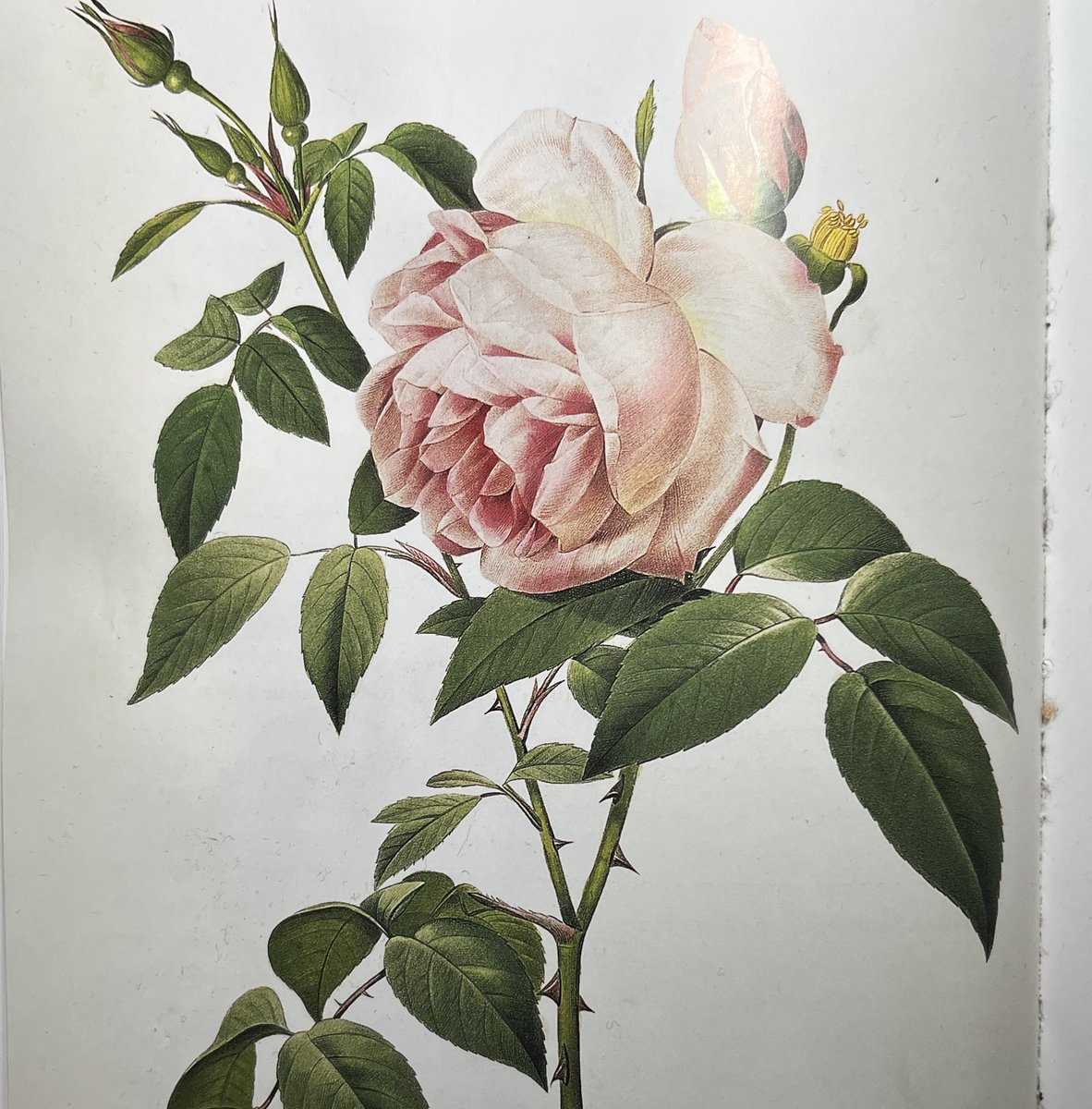 officesevenn's tweet image. 