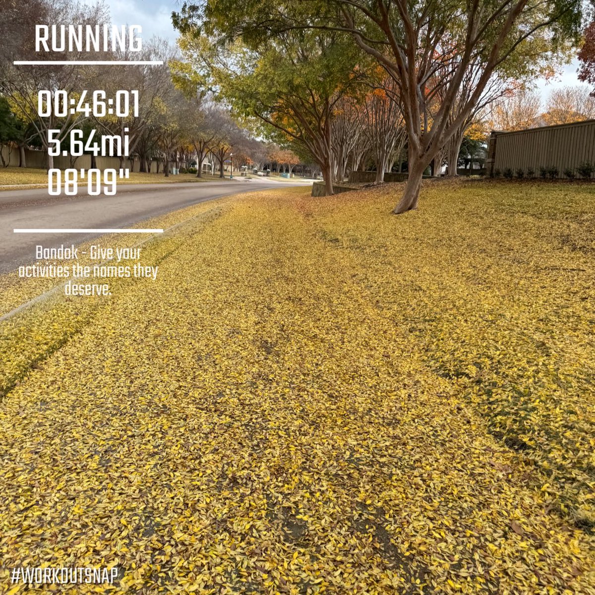 matthew_arend's tweet photo. Follow the yellow brick road. #running #run #runner #instarunners #runs #runnersworld #runnerslife #runhappy #runitfast #happyrunner #runnerscommunity #exercise #cardio #fitness #fit #fitfam #fitnessmotivation #workoutsnap https://t.co/RVaoLconV6