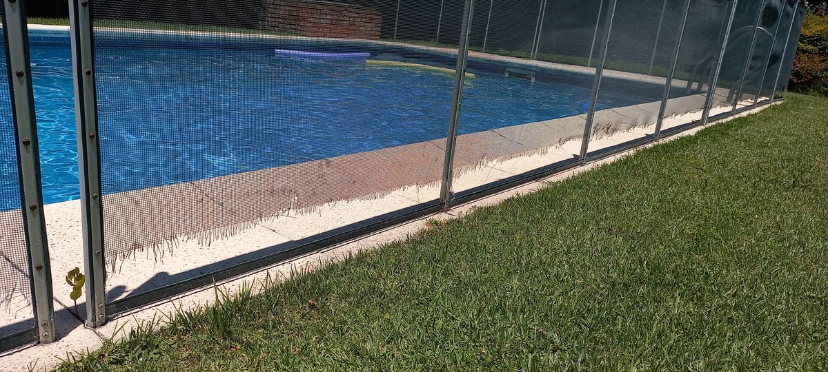 Tengo el peor jardinero del mundo?

Tengo el peor jardinero del mundo