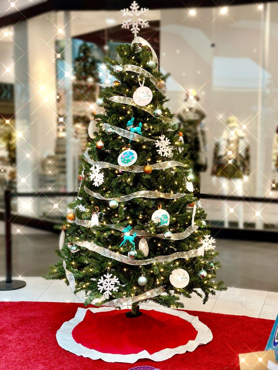 Organization for Autism Research tweet media