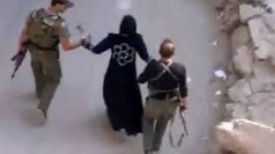 Mo'men Megdadi | مؤمن مقدادي tweet media