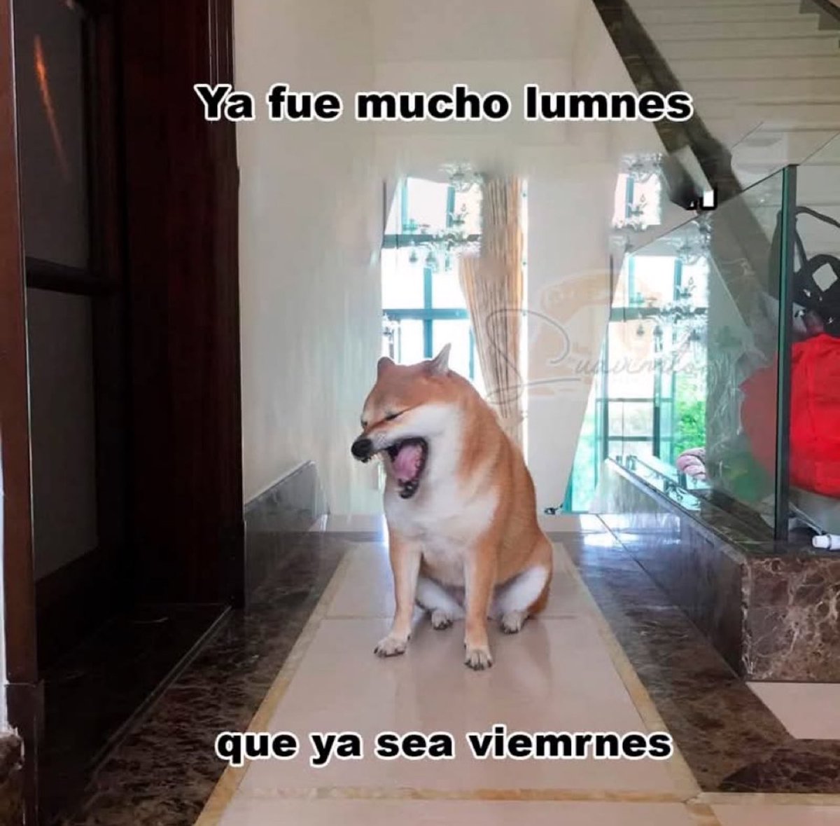 🇲🇽 México Mágico ✨ (@enmexicomagico) on Twitter photo 