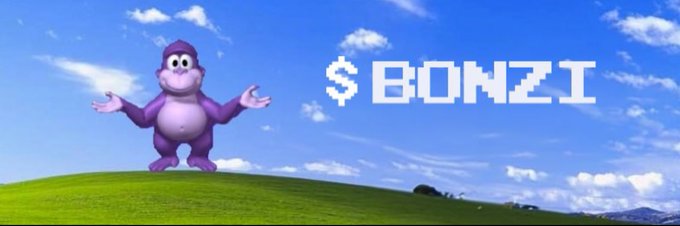 maf80's tweet photo. @CryptoThro $Bonzi ... Don't miss this please ... Lol

$Vista
@ethervista 
@bonzi_vista https://t.co/hFCcw6ITM7