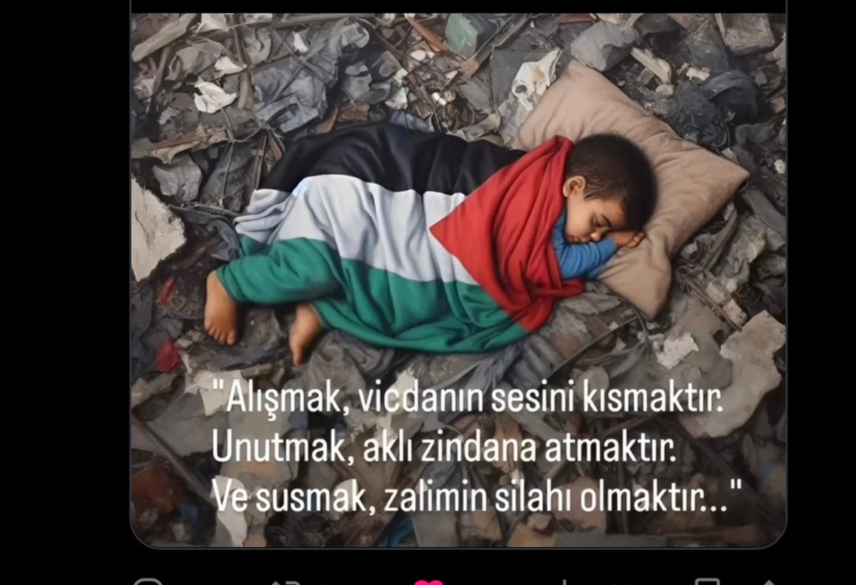 NevinDinç (@dingilnevi43977) on Twitter photo 