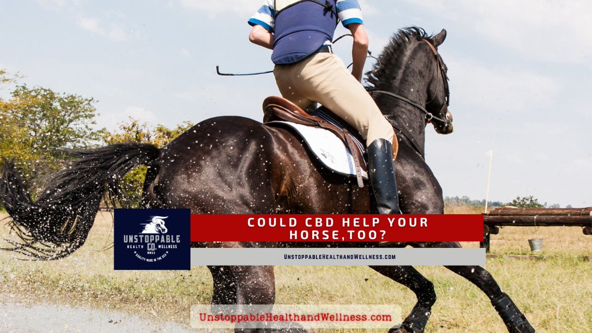 AndUnstoppable's tweet photo. Could CBD Help Your Horse, Too?

Studies show that CBD does have potential benefits for both horse and rider - let’s take a look!

https://t.co/9KC03w5ZRj

#beunstoppable #myunstoppable #cbdforbackpain #equestriantips #cbdwellness #freecbd #cbdforhorses https://t.co/PIcLsS8oDS