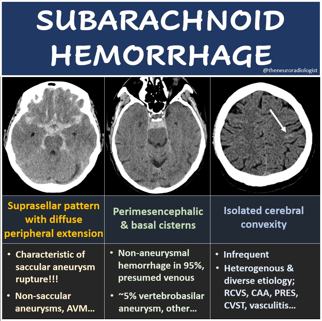Mauritus Maceiras tweet media