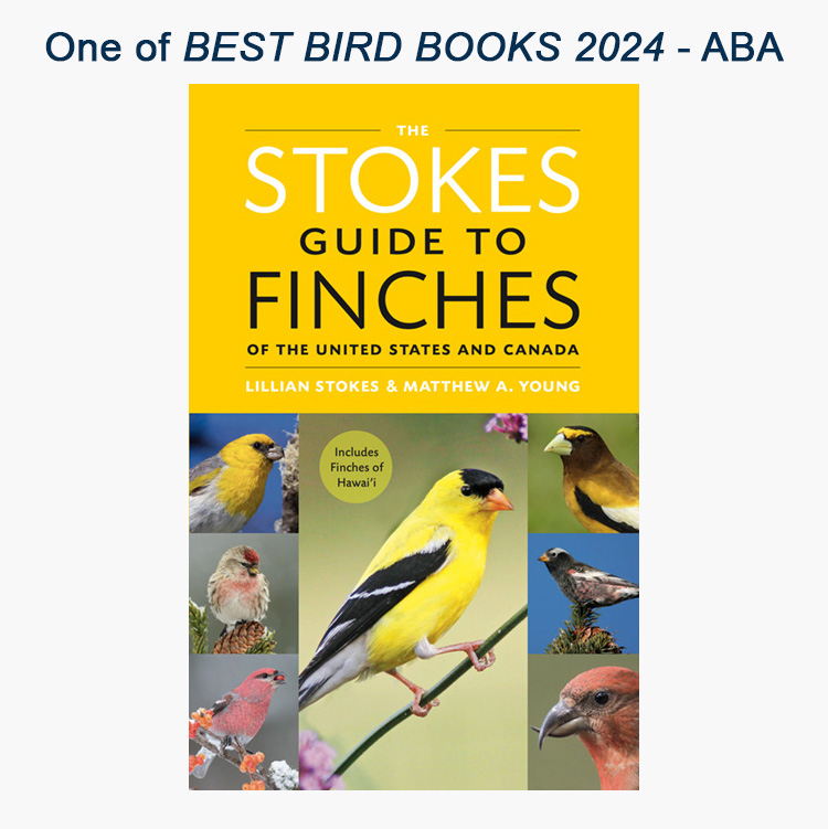 stokesbirding's tweet photo. Still shopping? Arrives before Christmas. Now $18.97 (amazon). 43 species, 332 pages, 355 photos, 50 range maps. Available from other booksellers also.
https://t.co/qiR28lRTx5...  
#birding #birdwatching #birdsoftwitter #birdphotography https://t.co/0CAPWJybRf