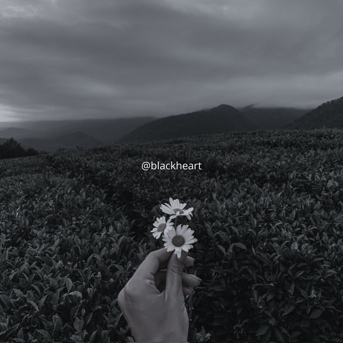 I gave you my all, but it still wasn't enough to make you stay.🖤🖤🖤