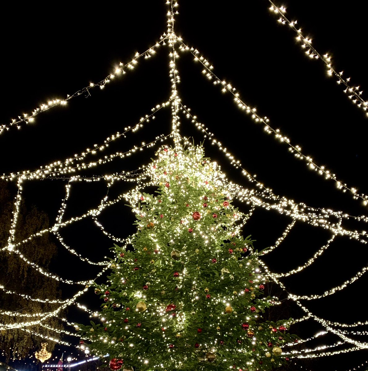 All my Christmas pics and videos on onlyfans.com/jessievolt 😘😘😘
50% OFF for the month 🎄⭐️❤️🎄⭐️❤️🎄
#Geneve #Switzerland 🇨🇭