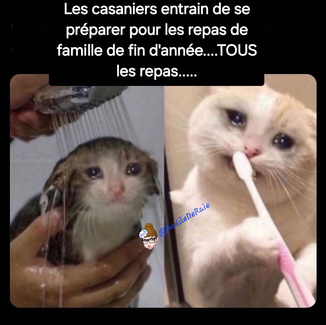 AudileDeRaie's tweet image. #humournoir #humour #humourdusoir #humourdusoirbonsoir #seconddegré #premierdegre #humournoir #casanier #jaimepaslesgens #lesgens #sélectif #socialementselective #socialementselectif #antisocial #repasdefamille #repasdefete #reuniondefamille