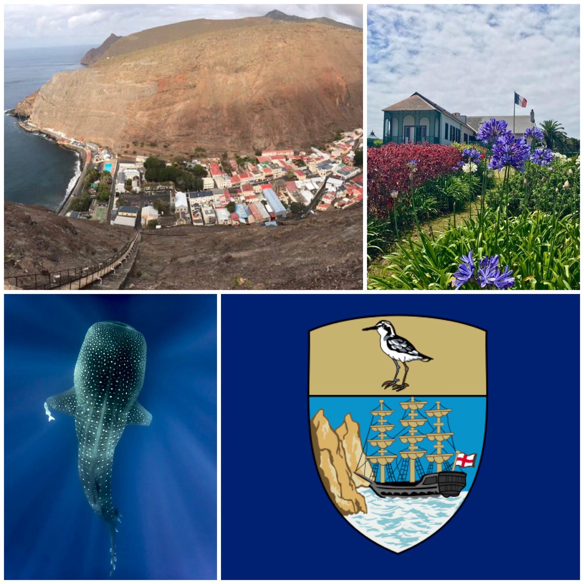 AdamPileUK🇬🇧 tweet media