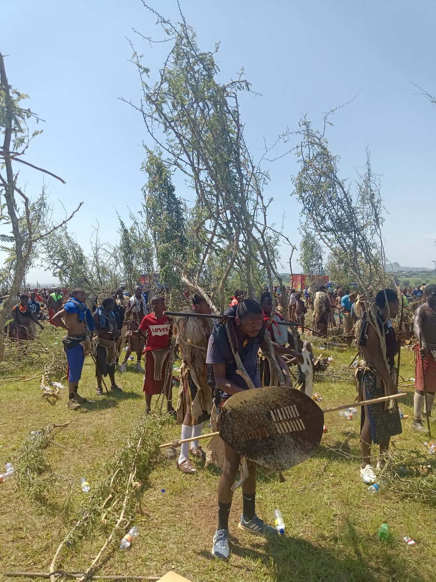 Loludliwa tindlovu 🇸🇿🇸🇿🎺🎺