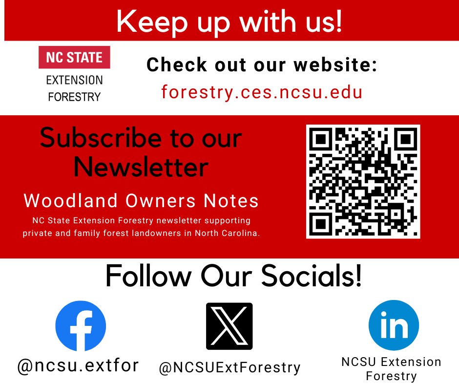 New year, same us! Stay up to date with us in 2025 for more forestry news!
From forest economics to selling timber, succession planning, woodland management,  forest health, and much more, we have lots to share with you this year!
go.ncsu.edu/newsletter_sub…