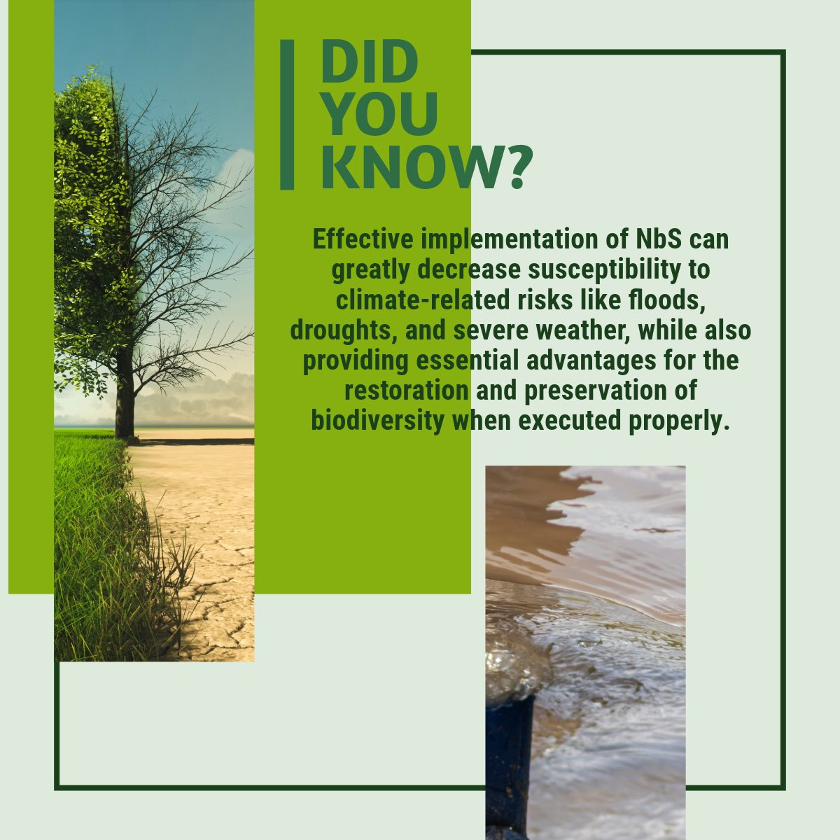 NATURE-DEMO tweet media