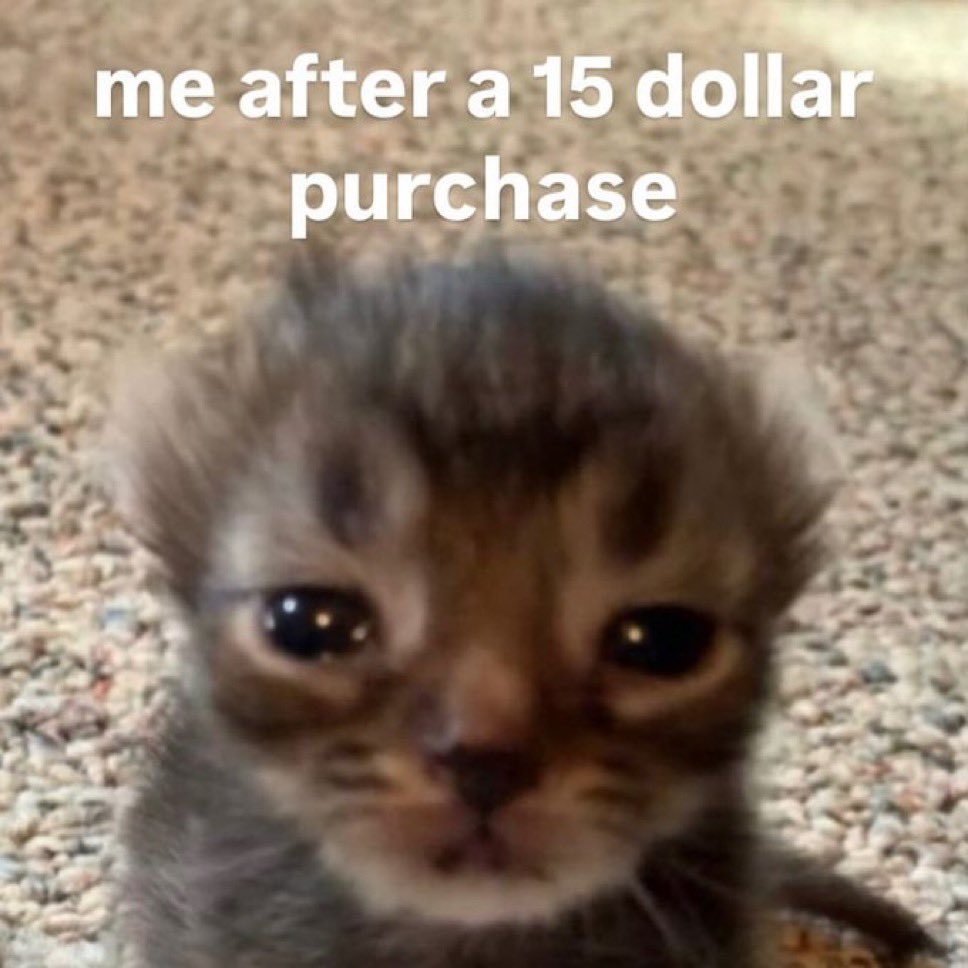 literallymecats's tweet photo. https://t.co/cRWLlBVf5l