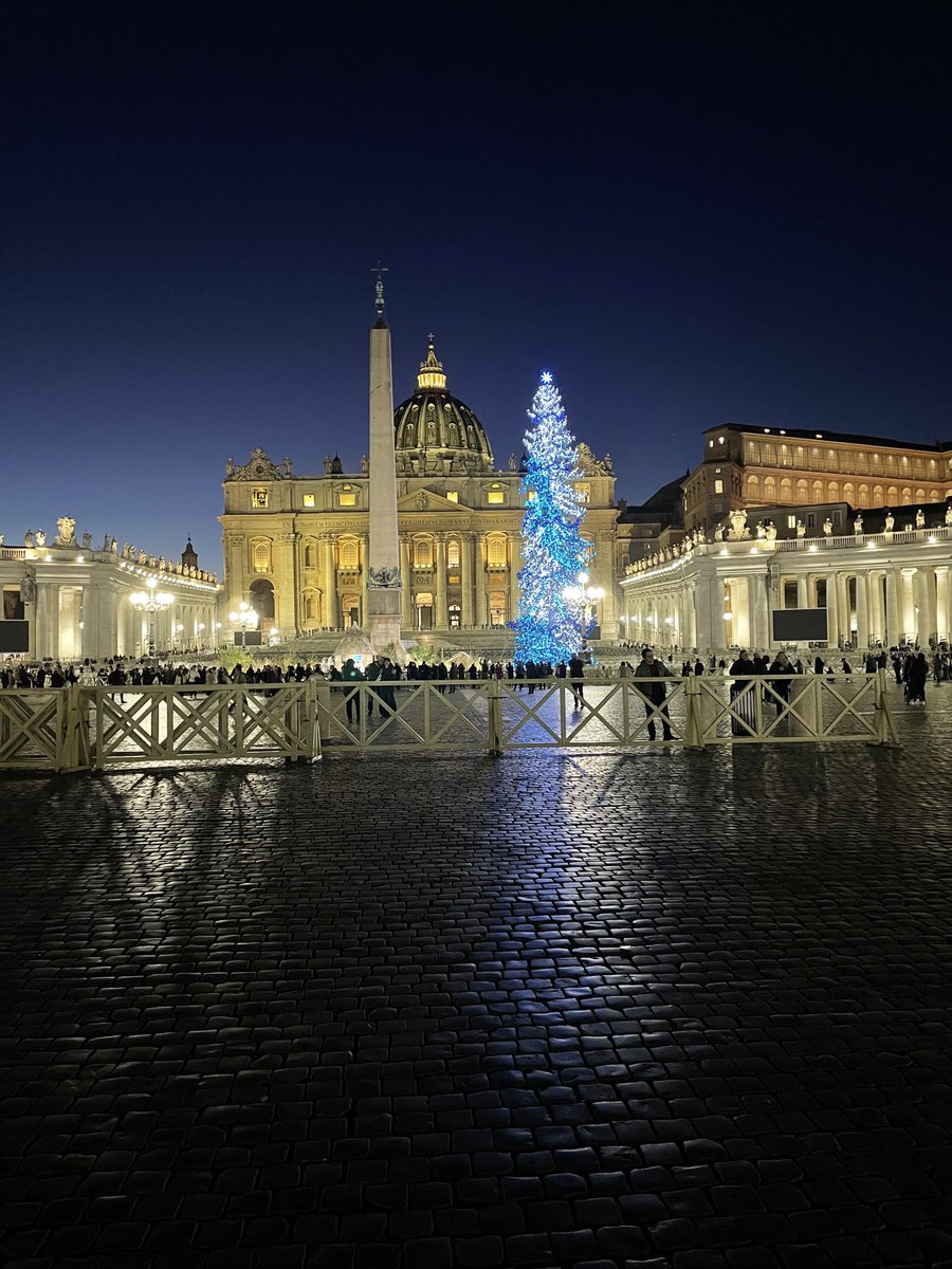 Pope Francis’ Christmas tree