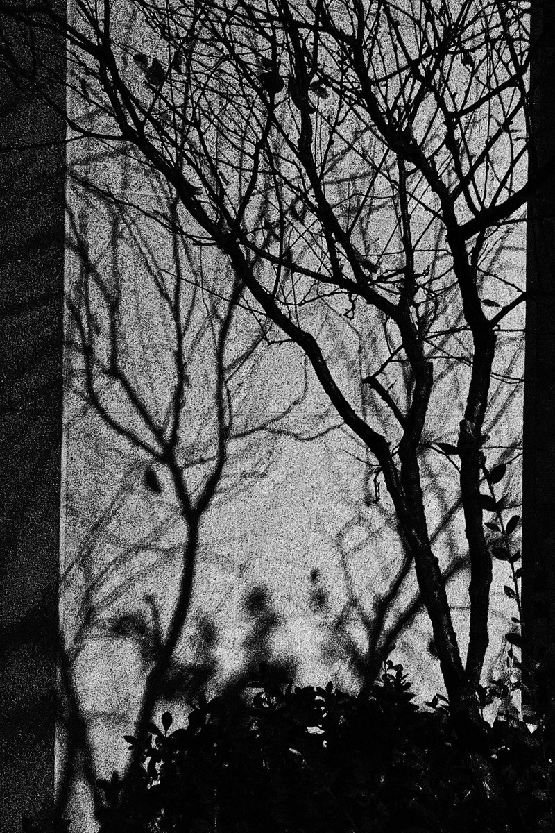 I  wish I was special