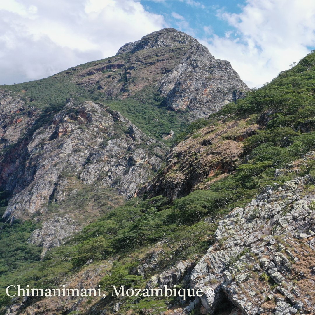 Eden: People+Planet tweet media