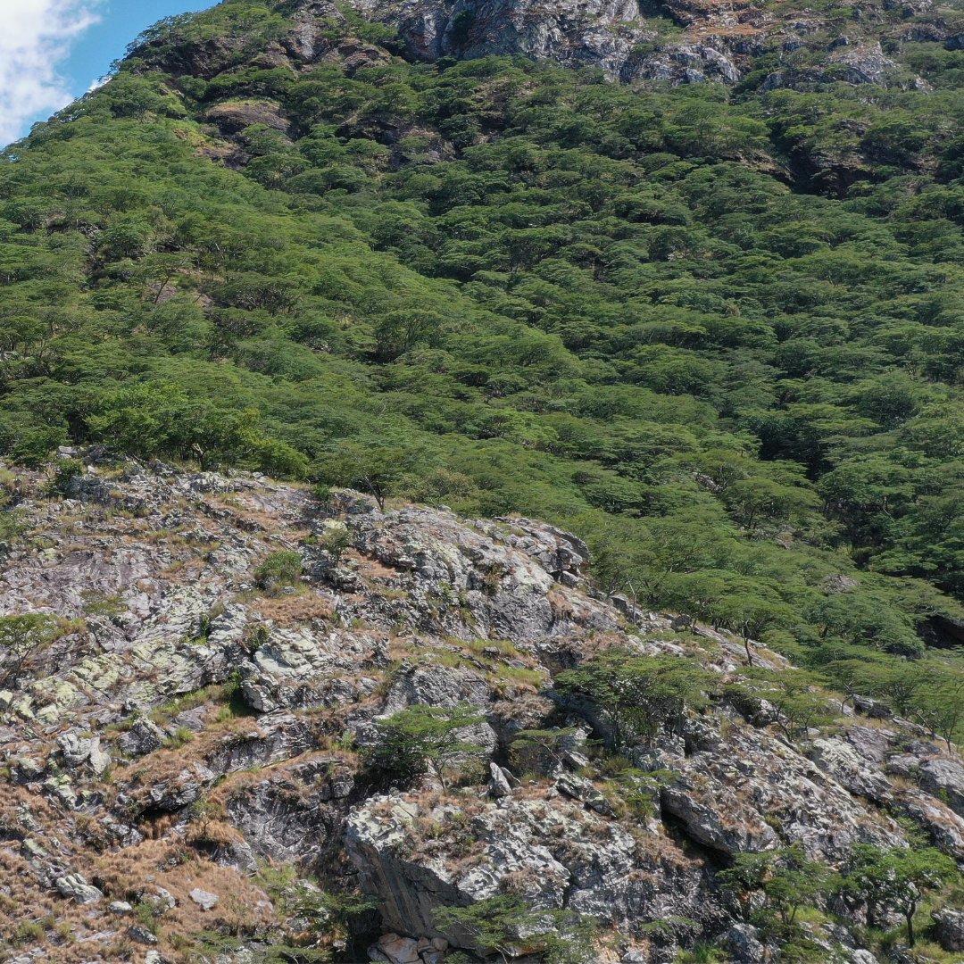 Eden: People+Planet tweet media